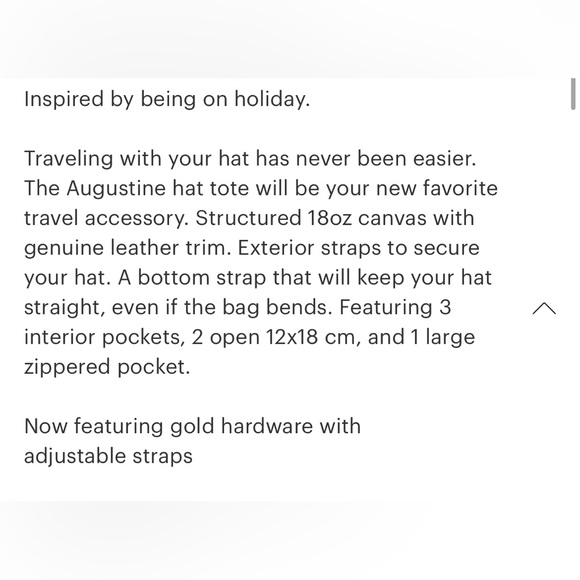 Hat Travel Tote - NWT - Picture 7 of 7